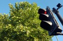 traffic light