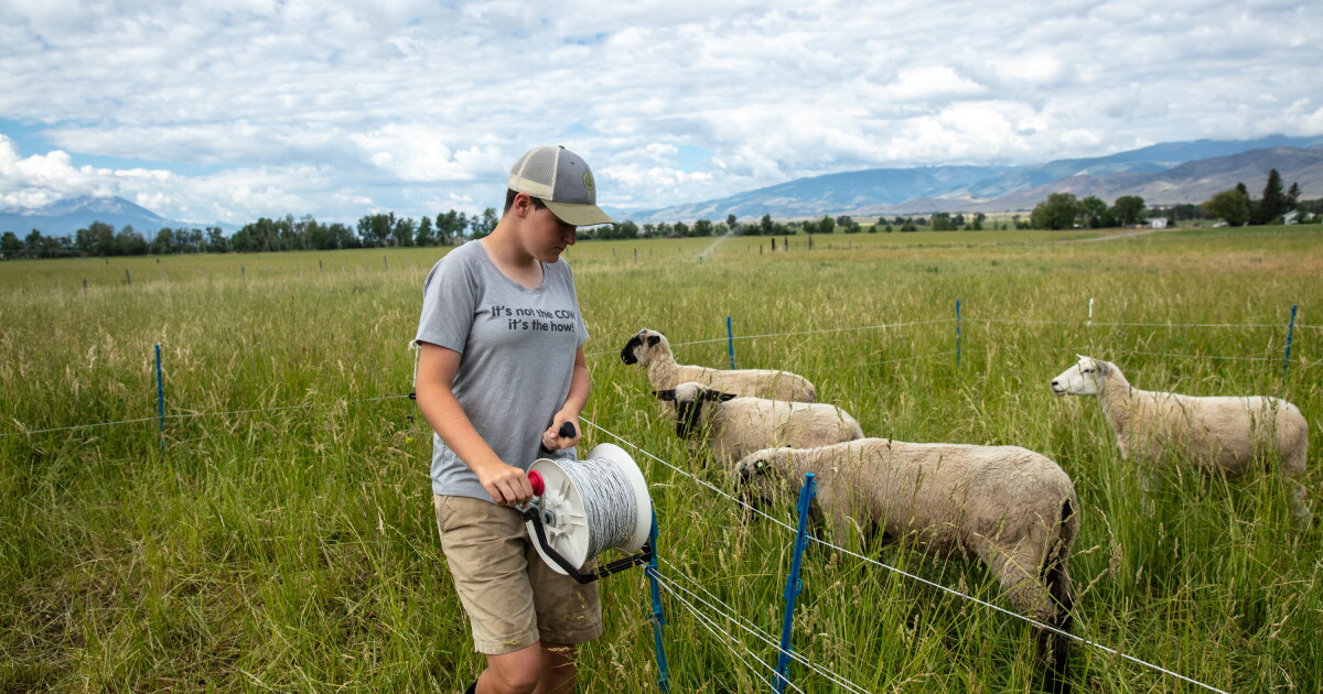 Meet the newest generation of Western rancher | KUER