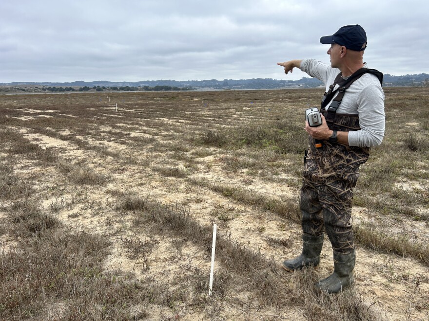 A man wearing boots and waders stands in a marsh field holding a gun-shaped machine in one hand while pointing towards the background, where there's a slough.