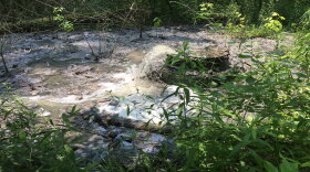 An overflowing manhole north of Winton Woods is forcing the closure of Winton Lake while Great Parks and the Metropolitan Sewer District investigate.