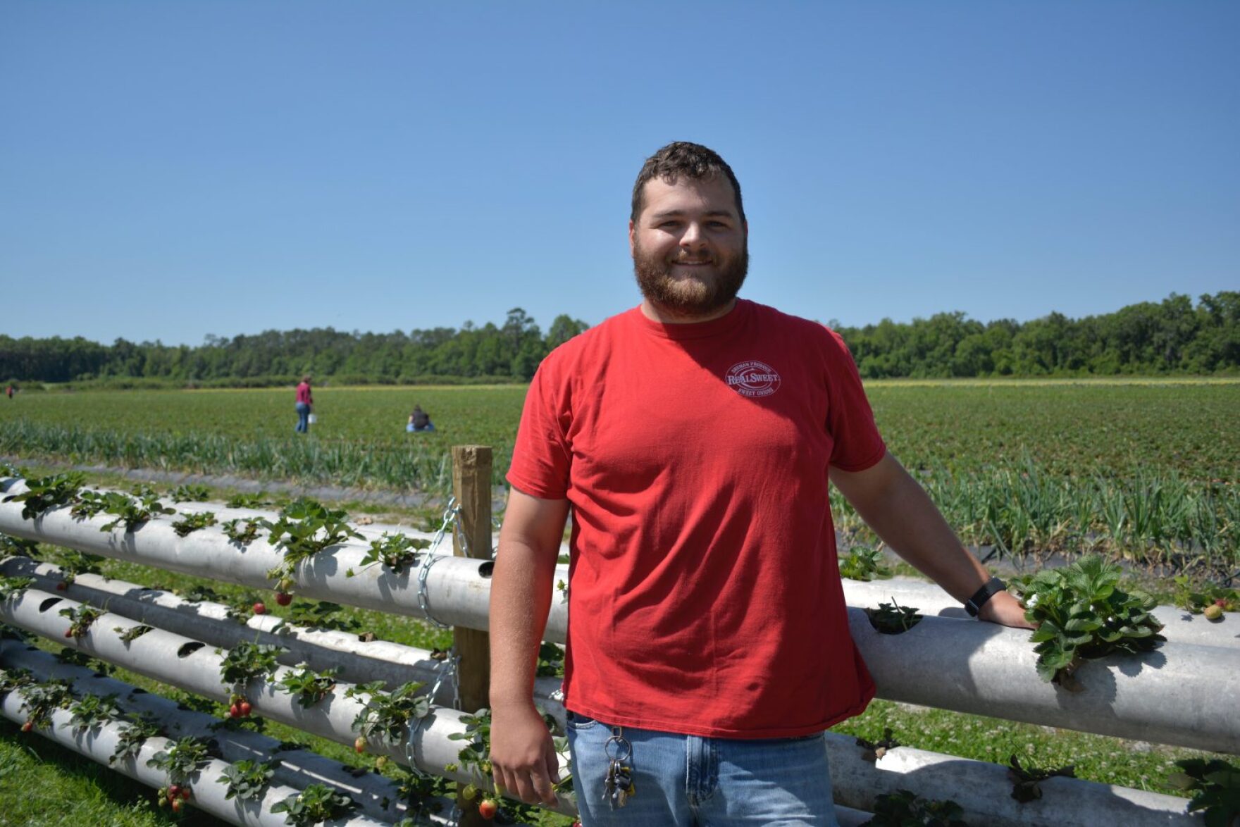 Farm Near Gainesville Builds HandicapAccessible Strawberry Picking System