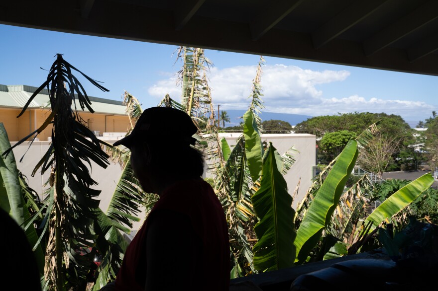 Andres looks out from his deck over some of his plants that survived the fire.