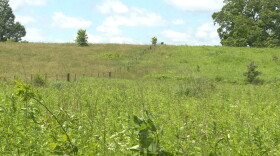 If cooler weather arrives and slows the caterpillars’ emergence, the first treatment application could be delayed until the week of May 17.