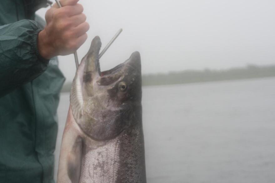 (Photo by Allison Mollenkamp/KDLG)