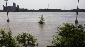 A tree along Leonor K Sullivan Blvd. is surrounded by rising water as the Mississippi River reaches a near-record height.