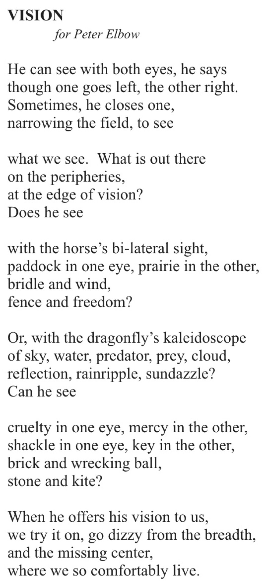 vision_poem.jpeg