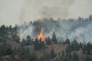 A stand of juniper trees torches at the head of the Rowe Creek Complex Fire near Mitchell, Ore., on July 21, 2026.