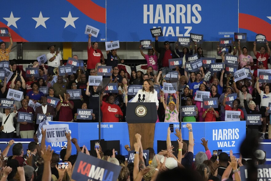 Democratic presidential nominee Vice President Kamala Harris speaks at a campaign rally Wednesday, Aug. 7, 2024, in Romulus, Mich. (AP Photo/Carlos Osorio)