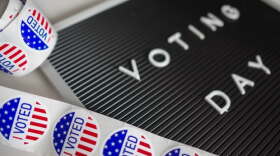 Mid Term Elections Guide