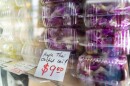 Purple Thai orchid lei sit inside a refrigerator at M.P. Lei Shop in Chinatown, Thursday, Feb. 26, 2026, in Honolulu.