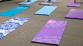 Yoga mats set out and ready for the class to begin