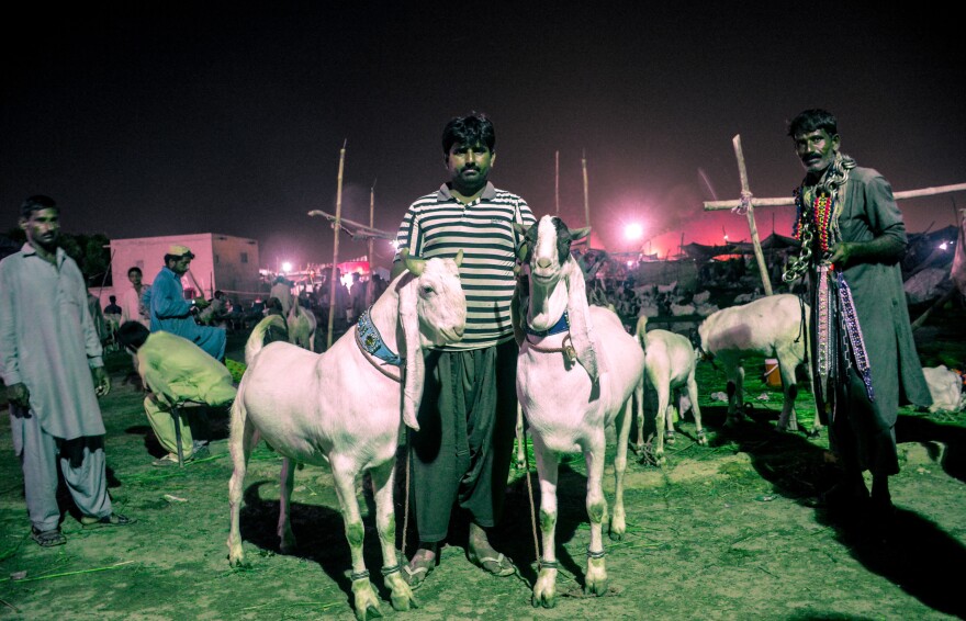 Karachi hosts an annual market where herders bring hundreds of thousands of goats to sell in the days leading up to Eid al-Adha.