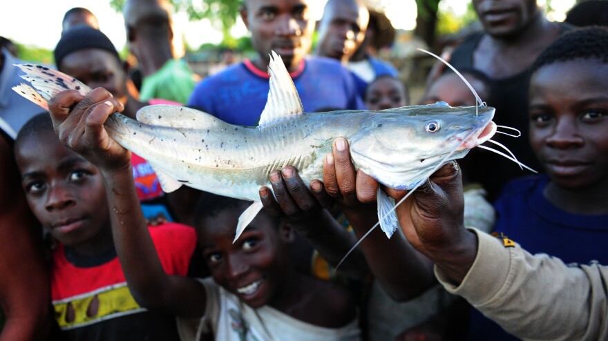 Boys show off their catch on the shoreline of Lake Malawi near Salima in 2012. About the size of New Jersey, Lake Malawi is one of the most biologically diverse lakes in the world.