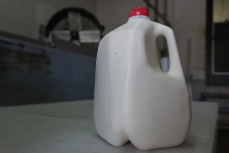 Newly packaged gallon of raw milk