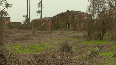 a large building overgrown with weeds and vines