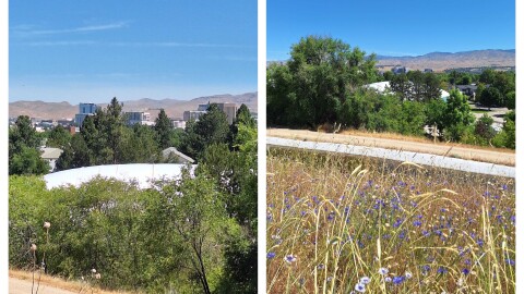 The view of Boise from the top of Protest Hill.
