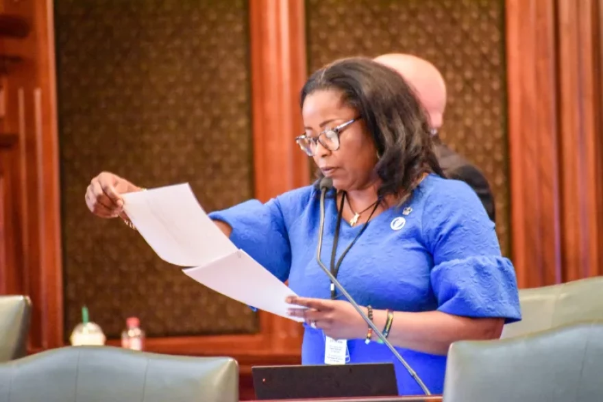Illinois State Rep. Sonya Harper, a Chicago Democrat and chair of the House Agriculture and Conservation Committee, speaks on May 23, 2024 on the Illinois House floor.