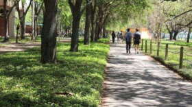 Under the new law, schools such as the University of South Florida, pictured, are mandated to send out surveys to all students, faculty, and staff. (Victoria Crosdale/ WUSF Public Media)