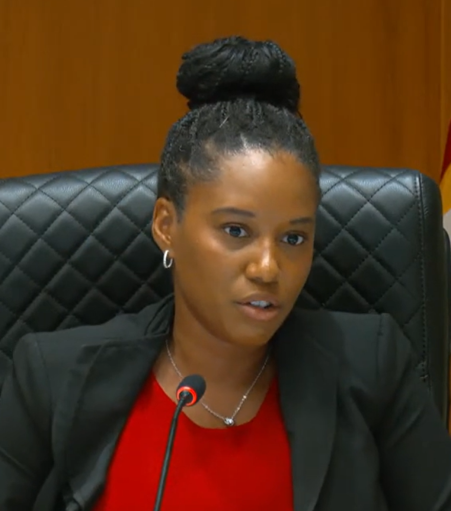 Tampa City Council member Naya Young voted for the Rays stadium project but emphasized it had "nothing to do with baseball" and more about community impact and opportunity.