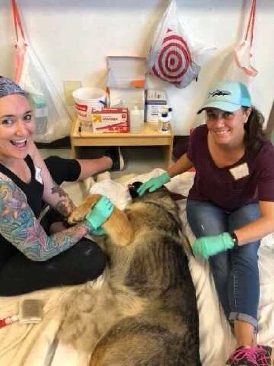 Christine Mueller and Angie Collins Egbert at mass spay-neuter clinic in 2018.