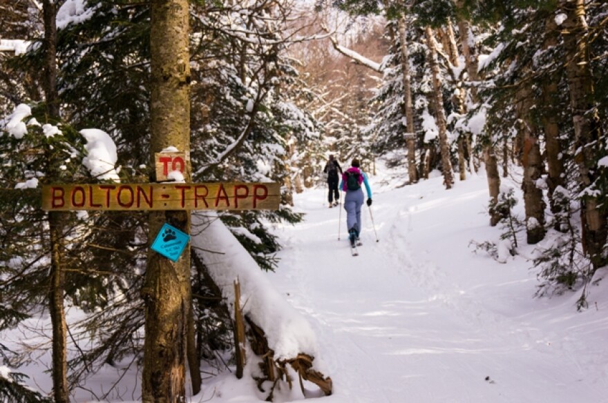 cross-country-ski-catamount-trail-association-20170804.jpg