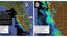 Map of red tide levels