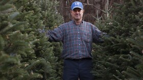 Joey Clawson at one of his Christmas tree stands on the first day of harvest. He grows about 95,000 firs on his operation.