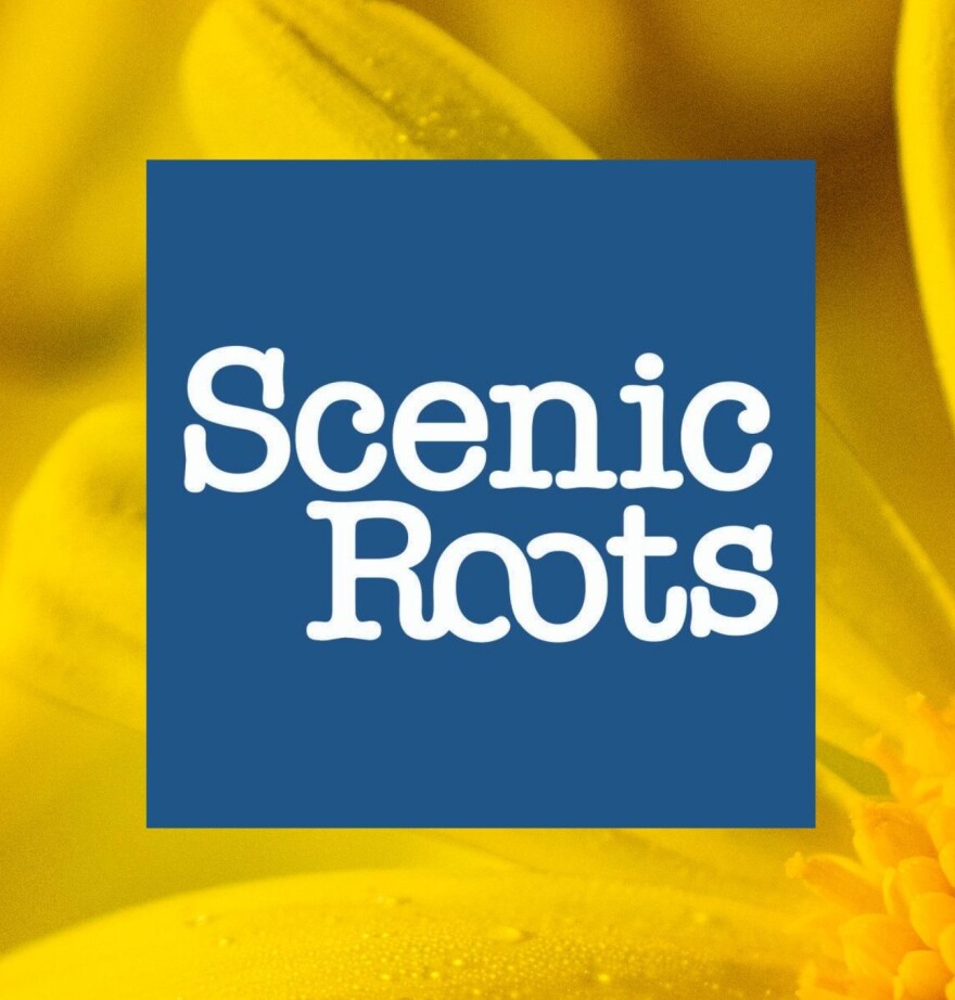 Scenic Roots - Mon 8/10/20