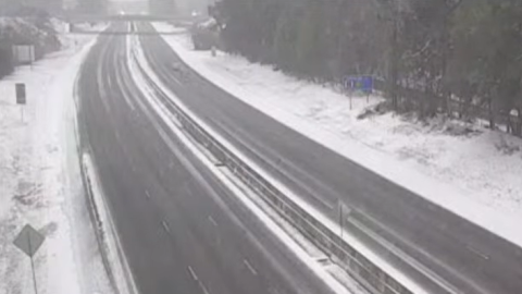 Snow along Interstate 26 on January 31, 2026.