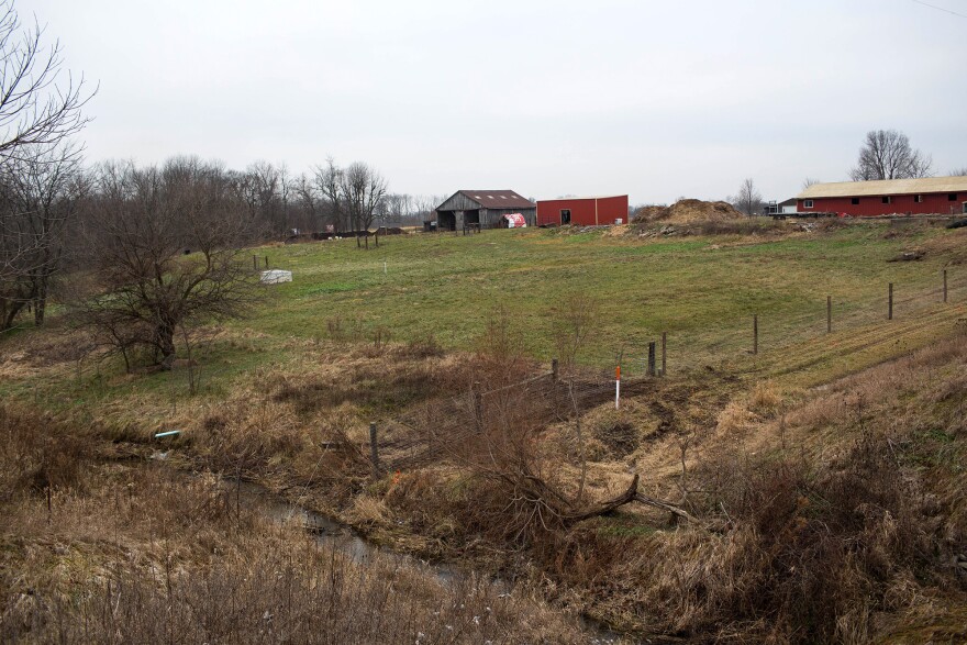 Sara Creech used her savings account and support from her family to buy a foreclosed farmhouse in rural Indiana. This year, thanks to changes in the latest Farm Bill,<strong> </strong>Creech received $21,000 from the USDA — money she is putting back into her farm.