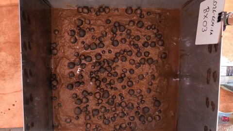 FILE - This photo provided by the U.S. Geological Survey shows polymetallic nodules in a sample from the seafloor that was collected on April 14, 2026, in U.S. waters off American Samoa.
