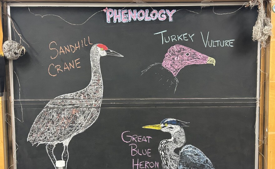 Chalk illustrations show a Great Blue Heron, a Sandhill Crane, and a Turkey Vulture.