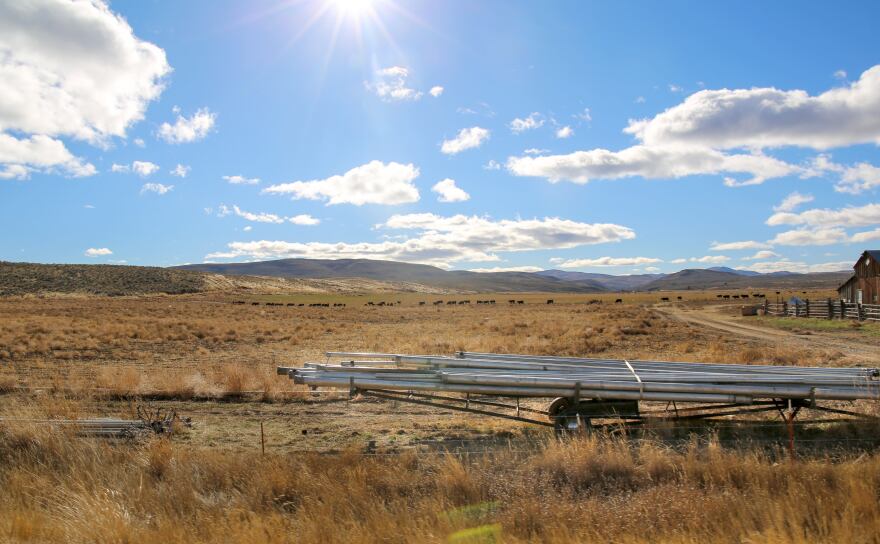 Irrigation equipment and cattle frame views of Eastern Oregon near Ironside in Malheur County on Nov. 17, 2021.