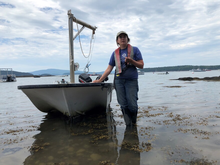 springtide seaweed's sarah redmond.jpg