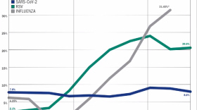 Idaho's weekly percent positivity for COVID-19 (blue) influenza (gray) and RSV (green) between Oct. 8 and Dec. 10. Credit: Idaho Department of Health and Welfare.