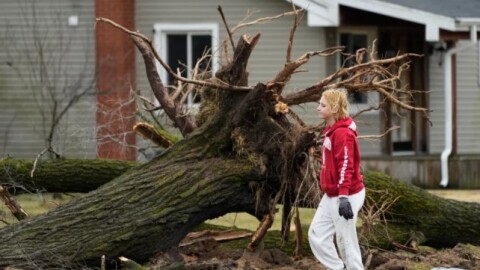 Photo of cleanup volunteer in front of an uprooted tree. 