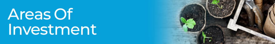 areas-of-investment-header.png