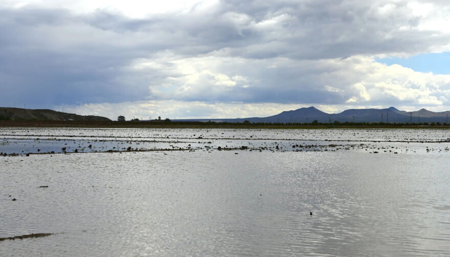 A farm field in Garfield located near the McLead Dam stands flooded on Wednesday, Sept. 30.