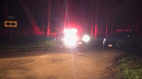 Police cars in the forest