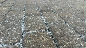 Salt covers the sidewalk outside the Harris YMCA.