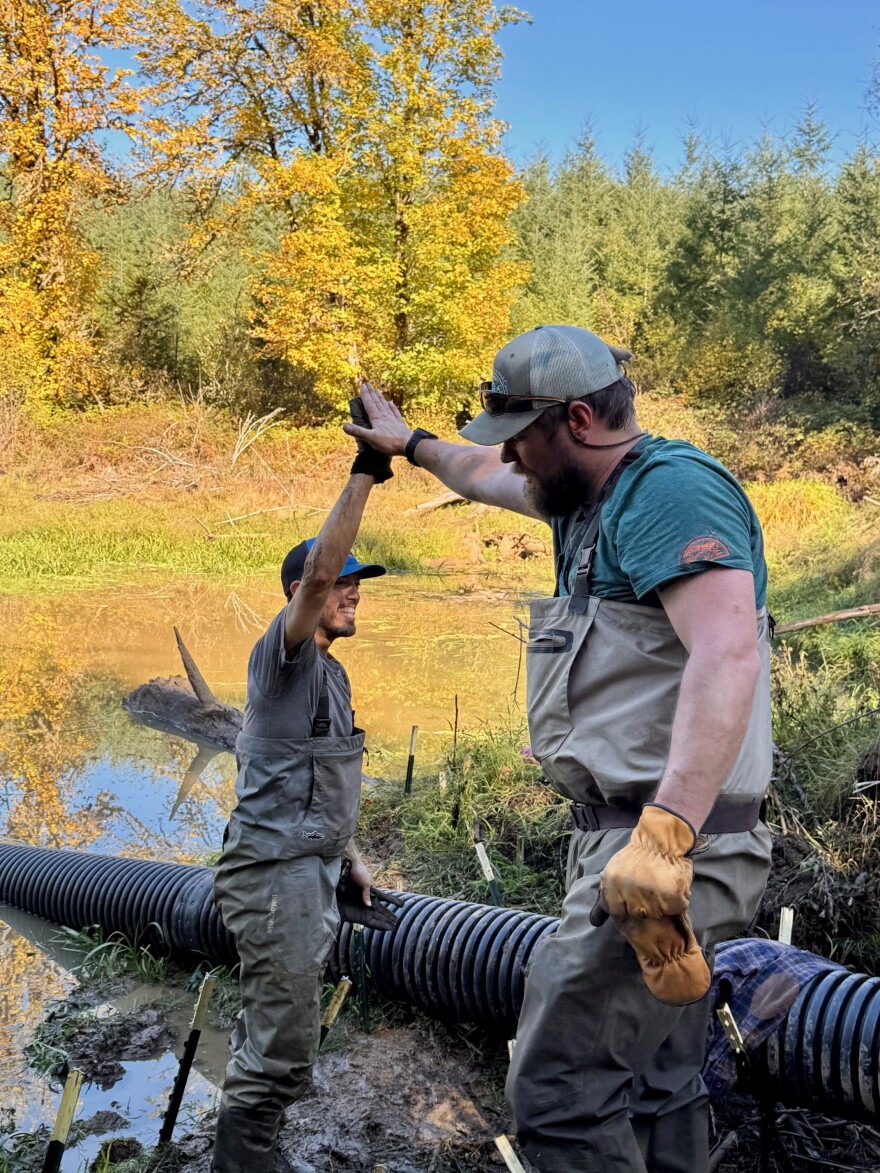 Men high-five after reenforcing a beaver dam. 