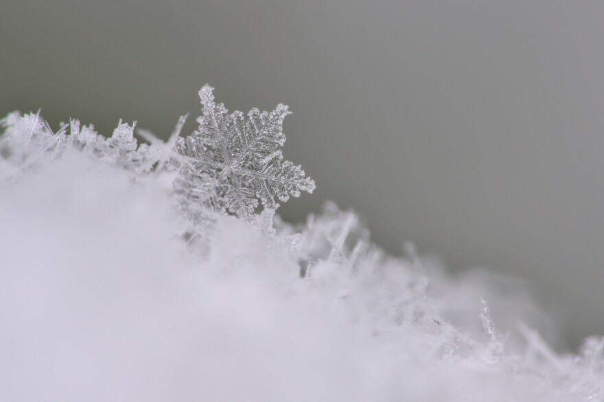 Primer plano de un copo de nieve.