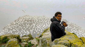 Jason Ward is an avid birder in Georgia who hosts his own YouTube series called "Birds of North America."
