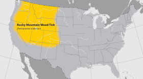Where Rocky Mountain wood ticks live