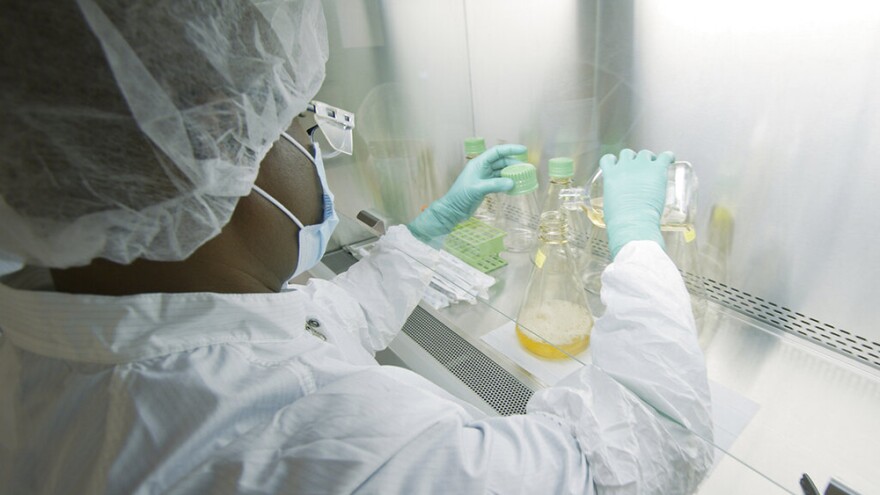 FILE - In this May 2020 photo provided by Eli Lilly, a researcher tests possible COVID-19 antibodies in a laboratory in Indianapolis. The drug company says it has asked the U.S. government to allow emergency use of an experimental antibody therapy based on early results from a study suggesting the drug reduced symptoms, the amount of virus and hospitalizations and ER visits for patients with mild or moderate COVID-19.