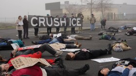Demonstrators hold a sign reading "crush ice" with people laying on the ground of a parking lot in the foreground. 