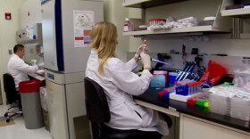 Lab to Market scientists