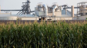 Corn absorbs the greenhouse gas carbon dioxide, but the process of fermenting it into ethanol releases carbon dioxide emissions. (AP Photo/Stephen Groves)
