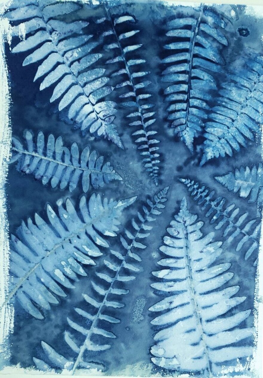 Nine Beauty Tips, cyanotype, 11 x 14 inches, 2021