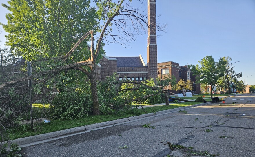 Trees uprooted and snapped on Beltrami Ave. near St. Philip's Catholic Church during the straight-line wind storm in Bemidji on June 21, 2025.